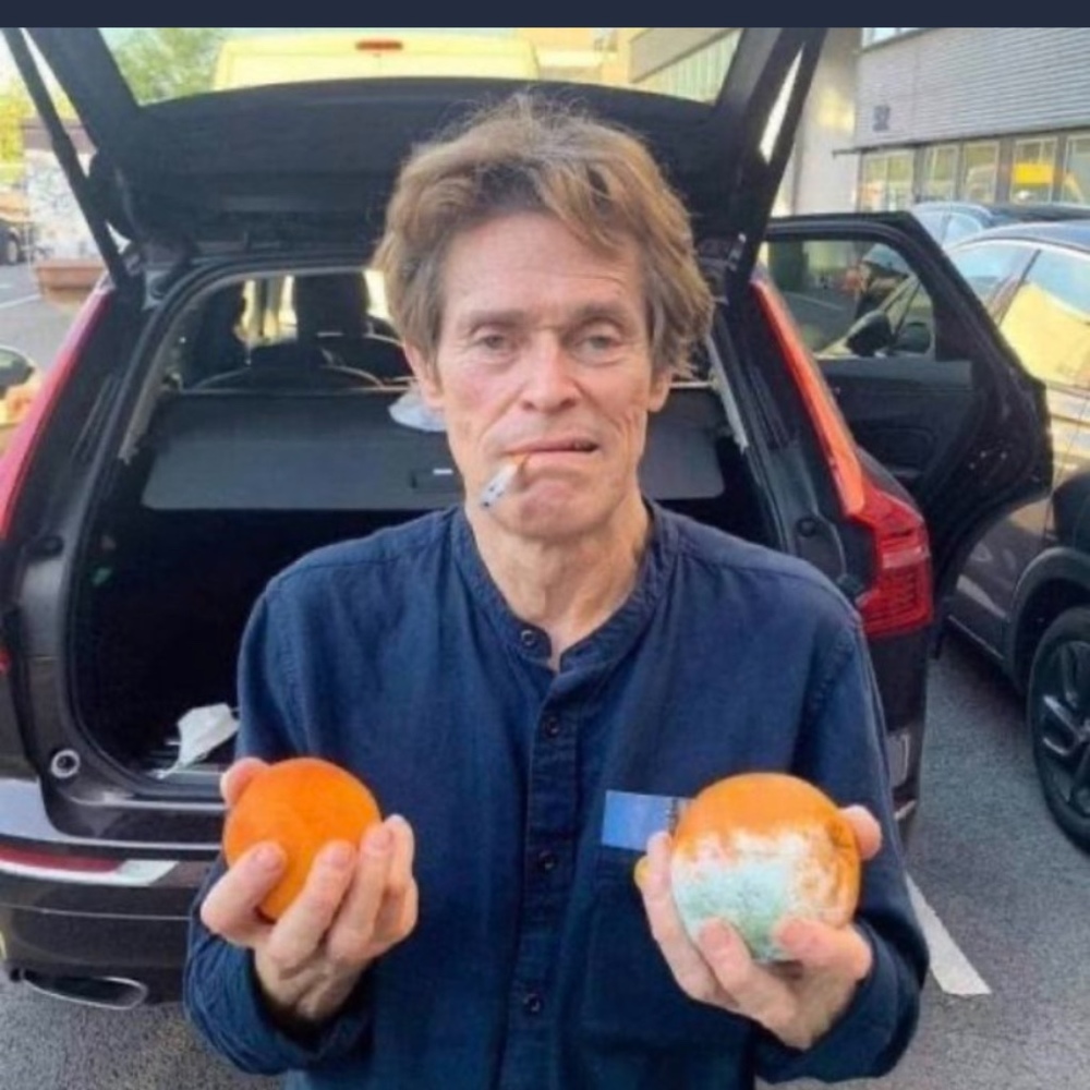 Meet your Posher, Eva